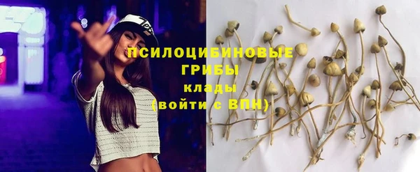 эйфоретик Алзамай