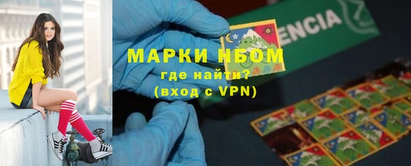 бошки Алексин