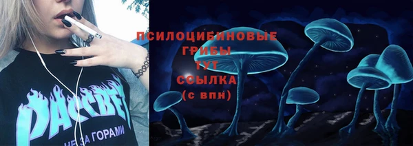 бошки Алексин