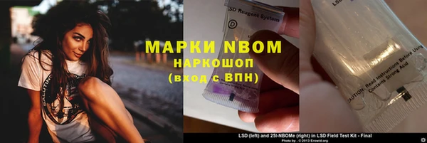 эйфоретик Алзамай