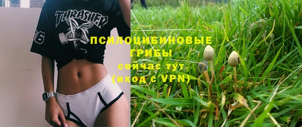 бошки Алексин