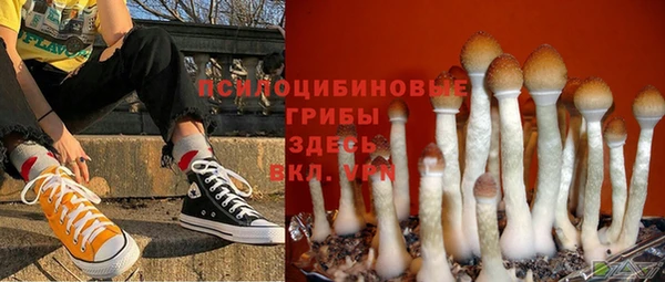 эйфоретик Алзамай
