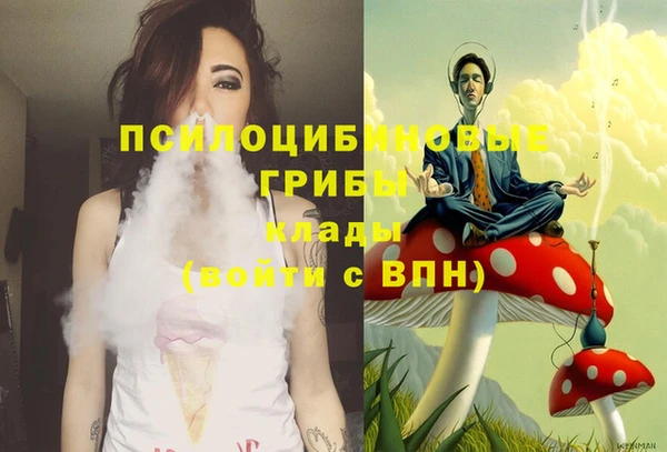 бошки Алексин