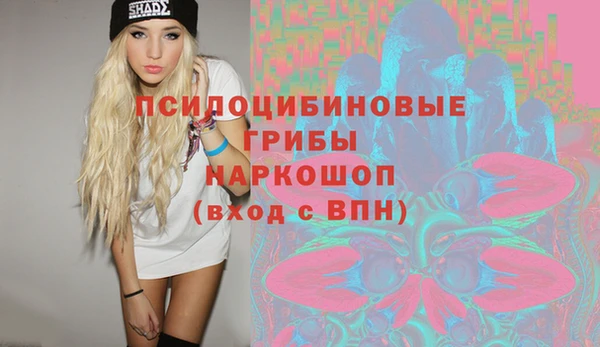 эйфоретик Алзамай