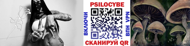 Купить где  Вельск  Галлюциногенные грибы Cubensis 